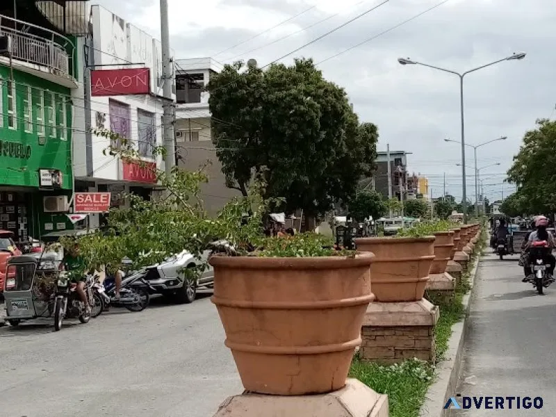 Lot for sale in rosario, cavite