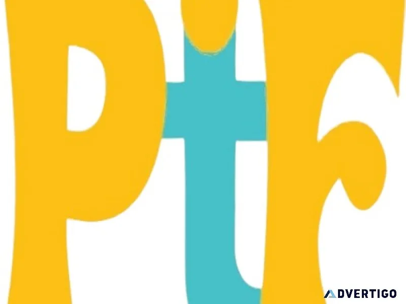 Web design services india | punjab tech foundation