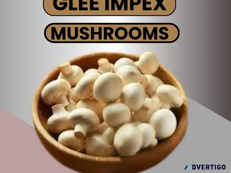 Best mushroom exporter in india | glee impex pvt ltd