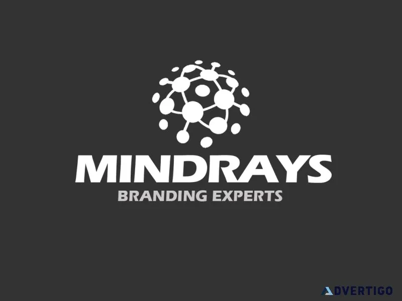 Mindrays seo services in delhi