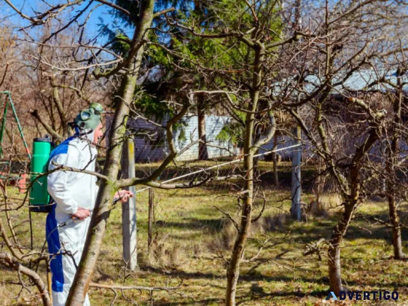 Arboricultural pest & disease control specialists