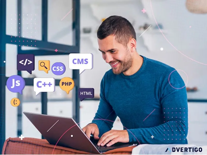Custom cms development services for your business