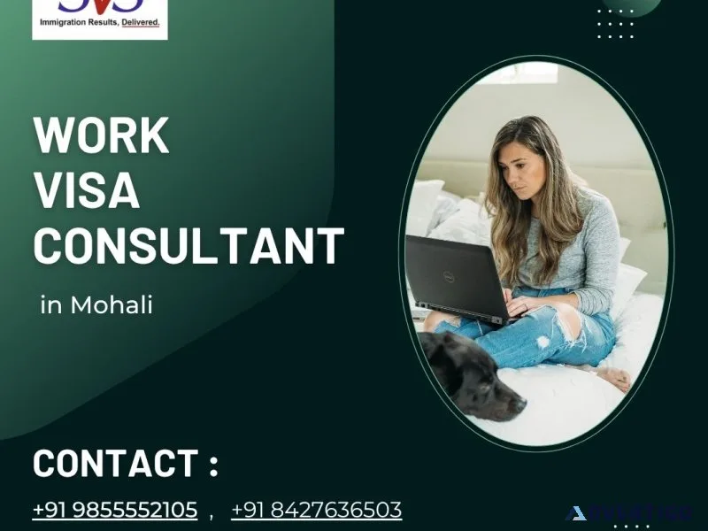 Best work visa consultant in mohali - svs consulting group