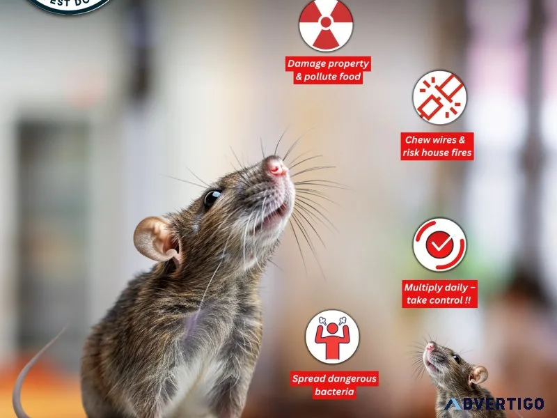 Best rodent control service provider in chennai