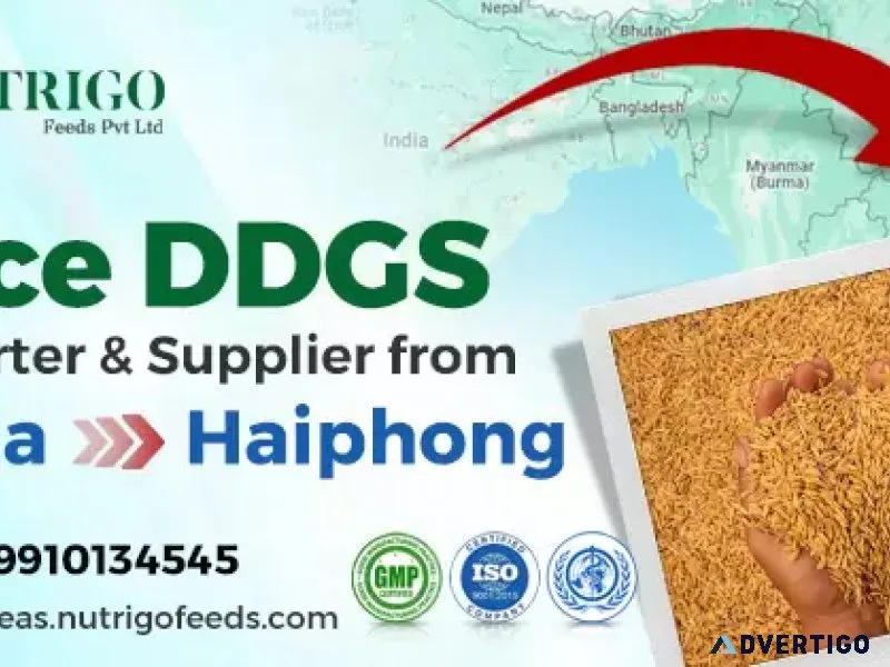Best rice ddgs exporter & supplier from india to haiphong