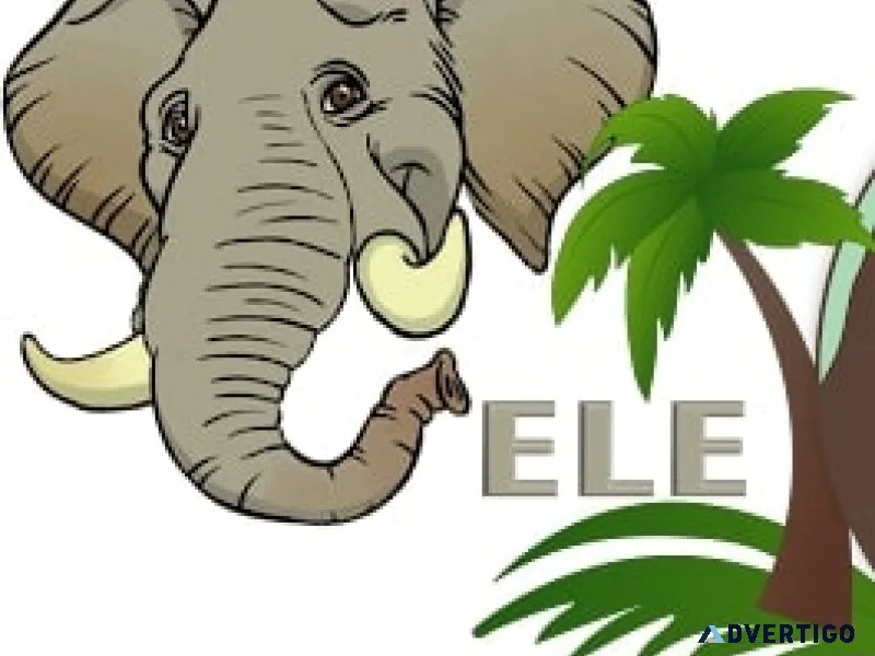 Elejungle elephant ride & activities in amer jaipur
