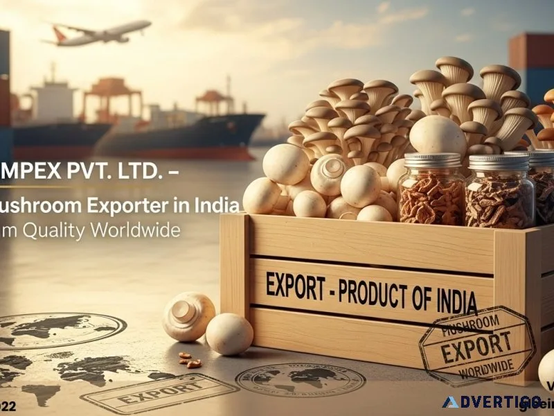 Mushroom export made easy with glee impex