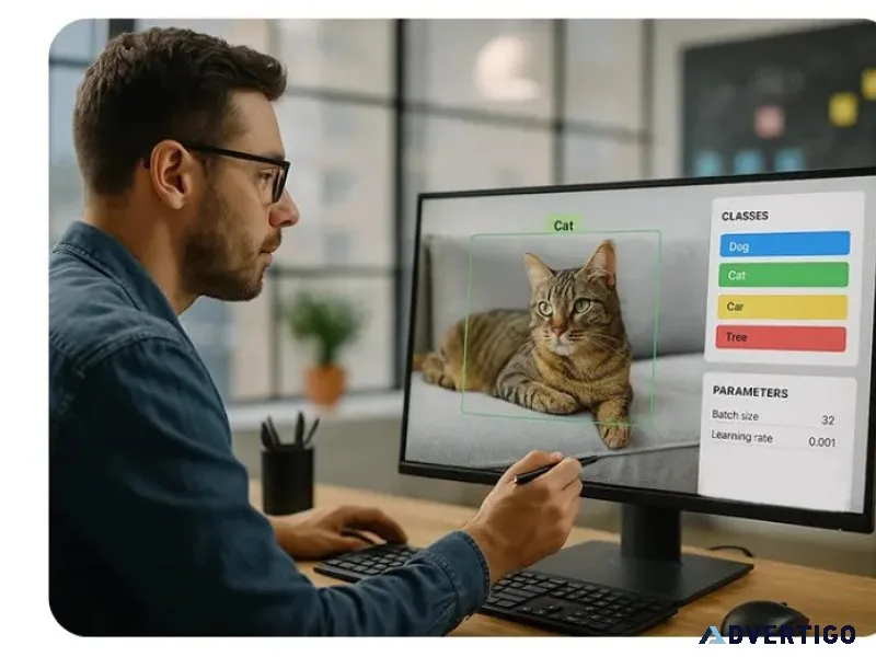 Human-in-the-loop services for ai model accuracy