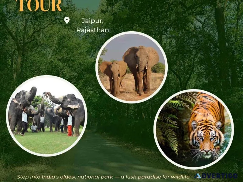 Elephant sanctuary jaipur a popular attraction for wildlife love