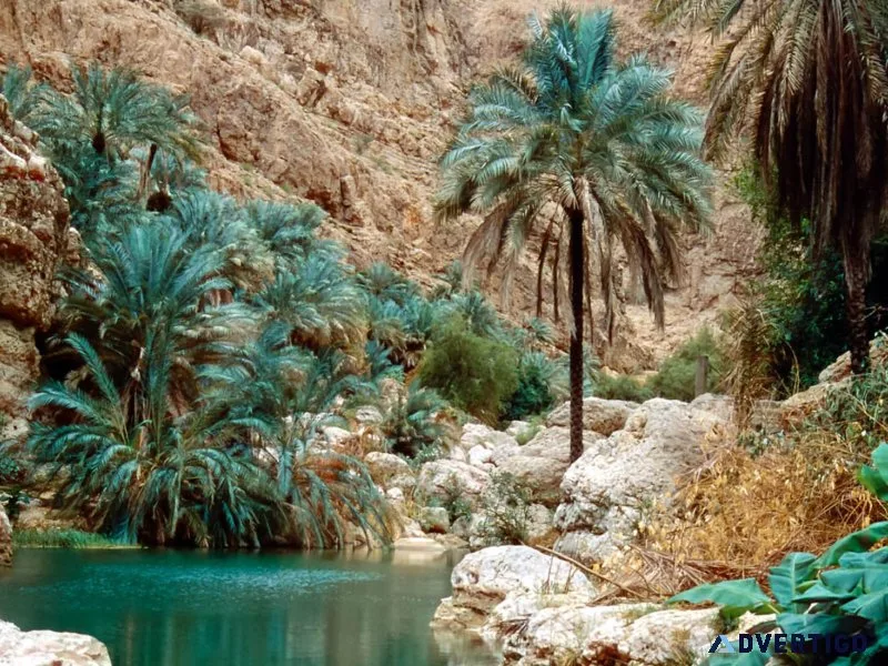 Travel company in jabreen castle