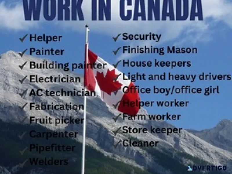 Dream big in canada