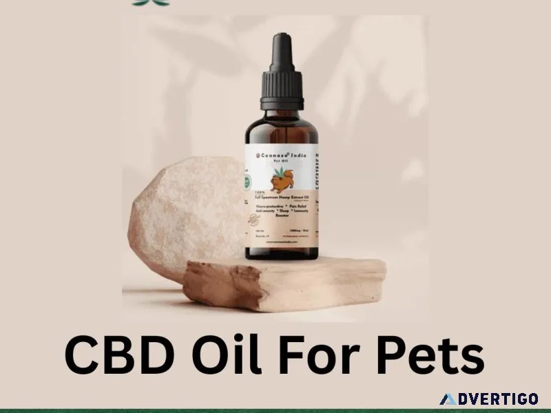 Support senior pets with cbd oil for pets