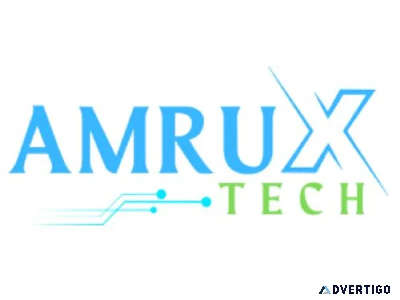 Amrux tech – protecting businesses with cybersecurity services i