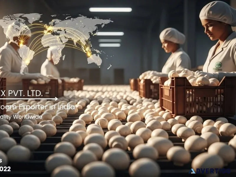 High-quality mushroom export from india