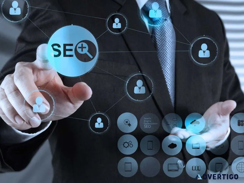 Seo company in chandigarh