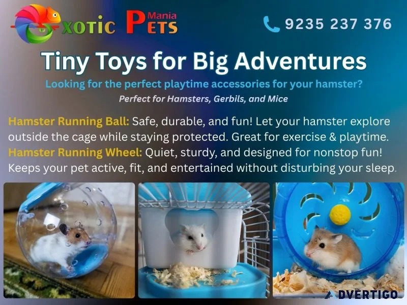 Pets