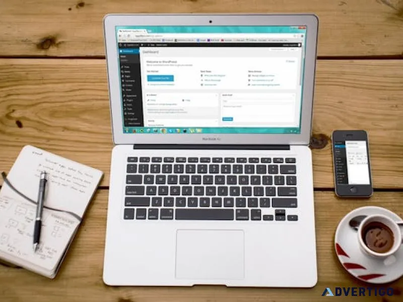 Professional wordpress web development services