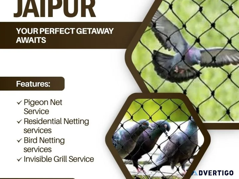 Best pigeon net service providers in jaipur