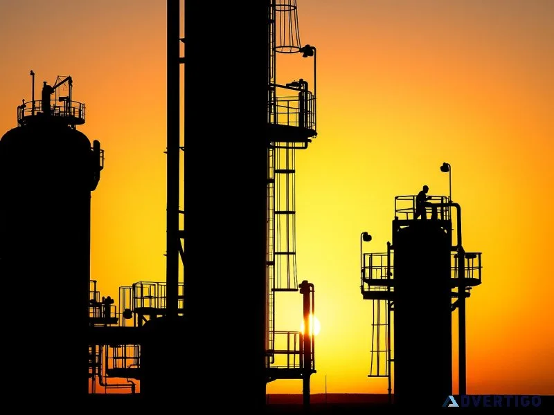 A professional framework for global competitiveness - aimhha