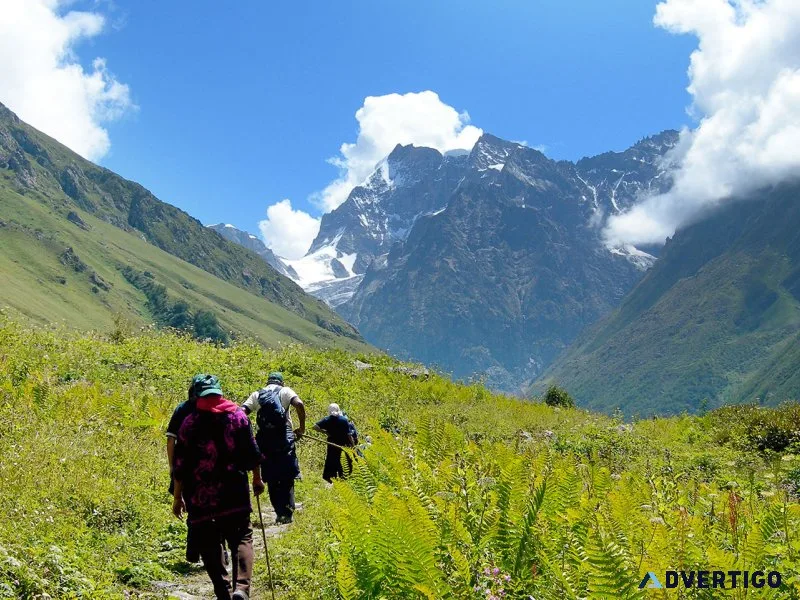 HarkiDun Trek: Your Perfect Himalayan Adventure