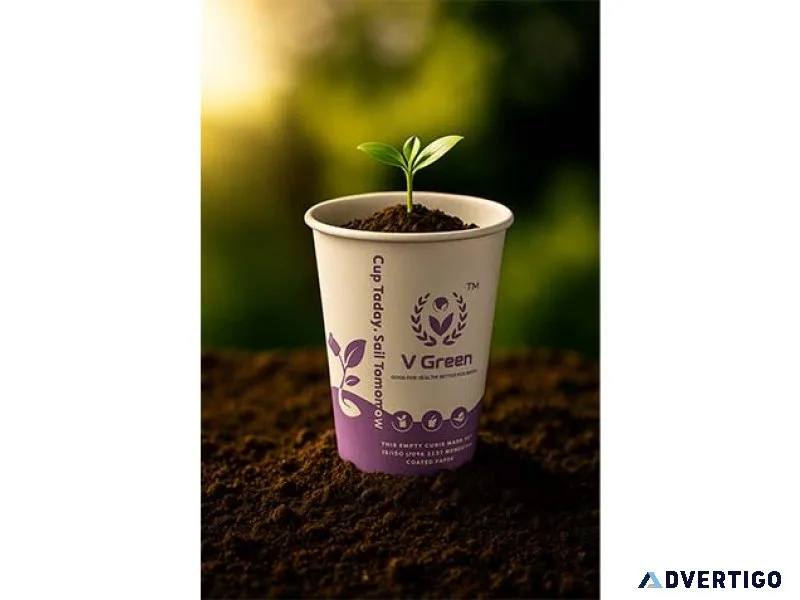 Eco-friendly flat paper cups – perfect for cafes & events in tam