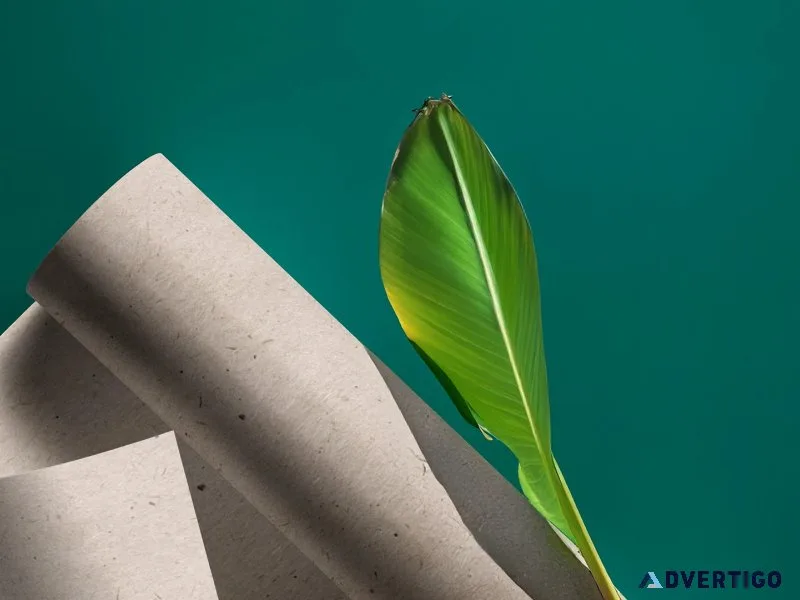 Eco-friendly papers | sustainable paper by bluecat paper