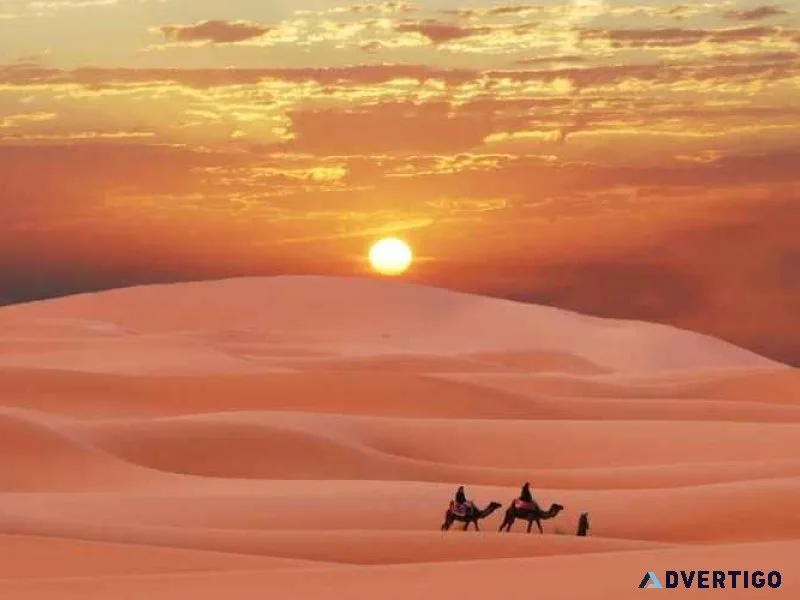 Chasing the sunset – an arabian safari beyond imagination