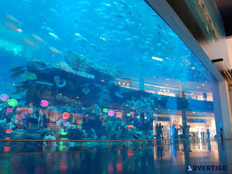 Uncover atlantis – dive into the lost chambers aquarium