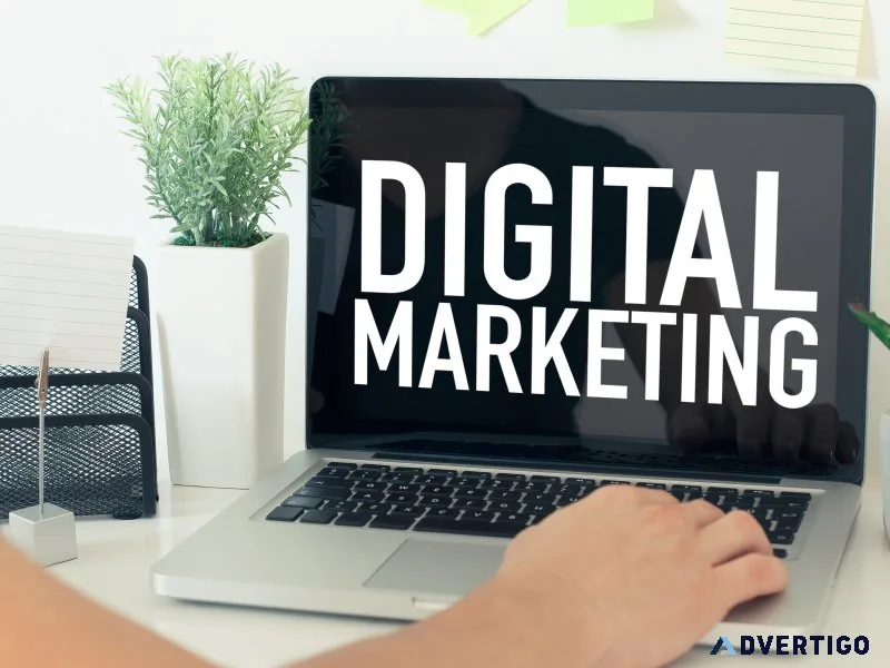 Boost your career with the best digital marketing course in zira