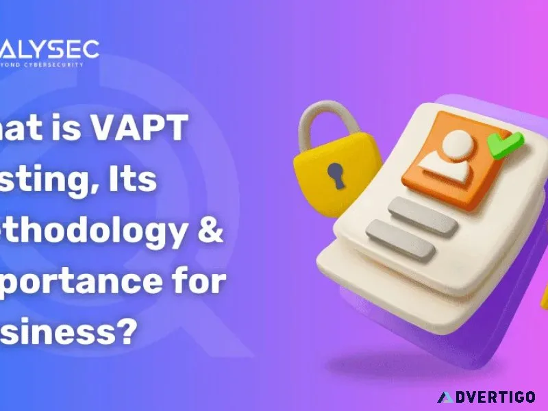 What is vapt (vulnerability assessment and penetration testing)?