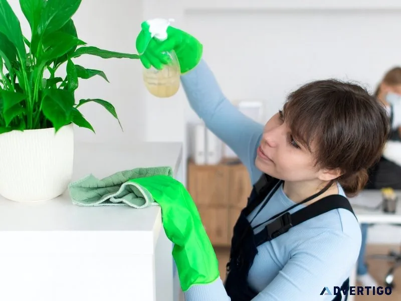 Best organic cleaning products for commercial spaces