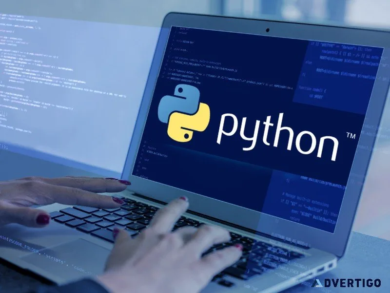 Hire python developers
