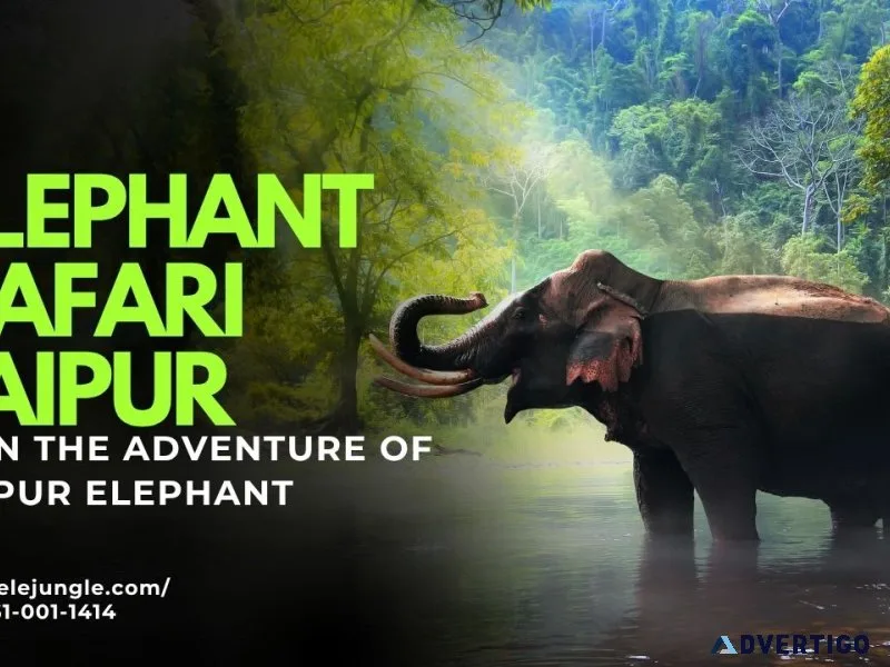 Elephant safari jaipur the ultimate adventure for nature