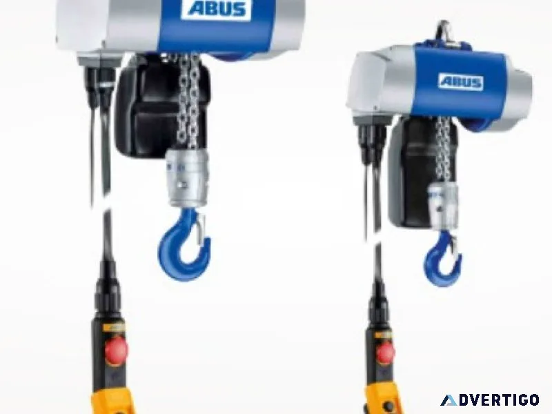 Electric chain hoist
