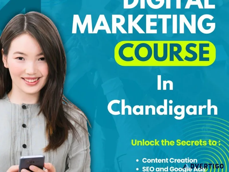 Join the best digital marketing course in chandigarh