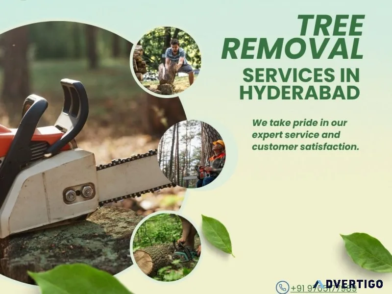 Tree removal services in hyderabad | priya tree cutting services