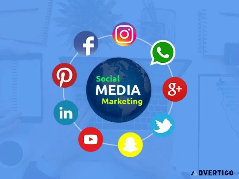 Seo-service-companycom | social media company in gujarat