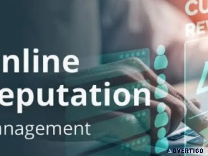 Online reputation management services