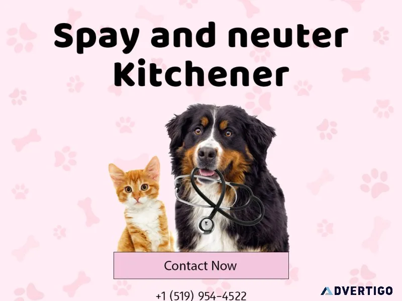 Spay and neuter clinic in kitchener