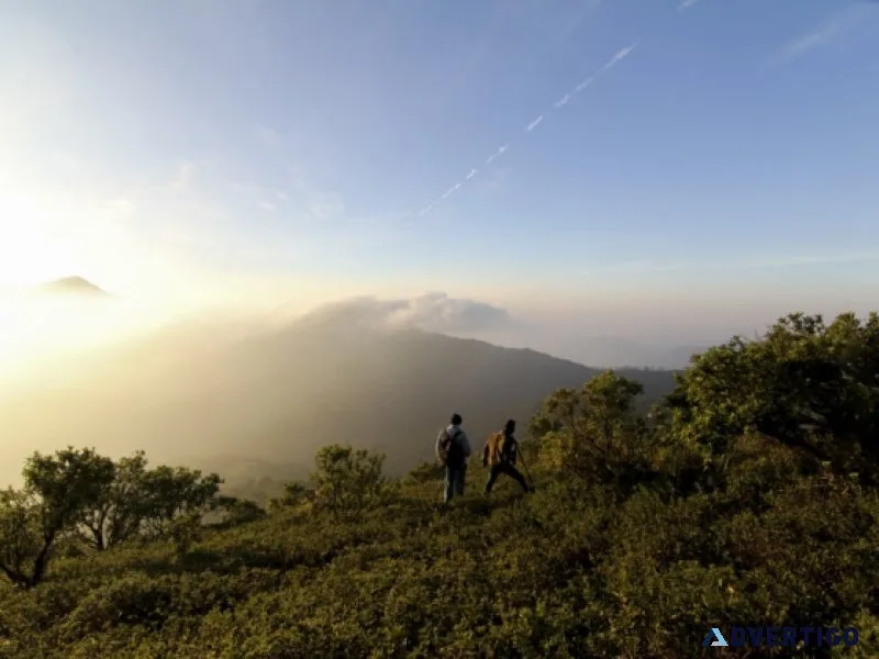 Experience luxury at tamara coorg – a 5 star nature resort in in
