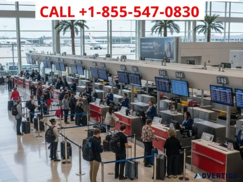 American airlines check-in | call +1-855-547-0830
