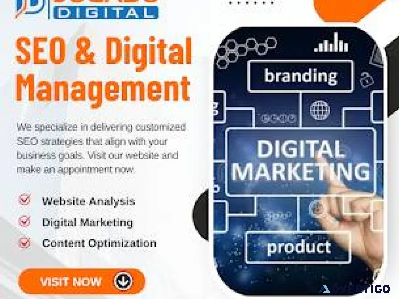 Looking for the best seo company in lucknow here’s your top choi