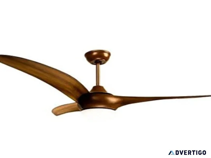 Decorative designer ceiling fan