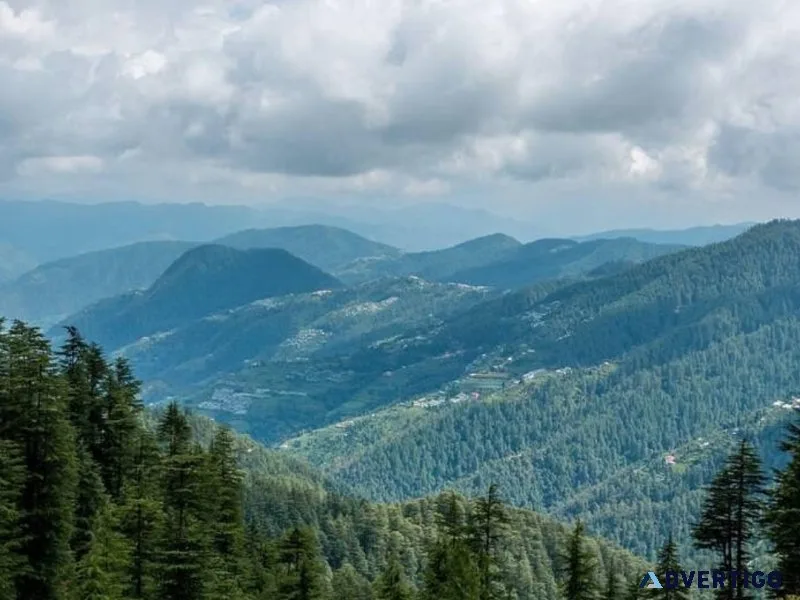 Jibhi tour package affordable travel plan