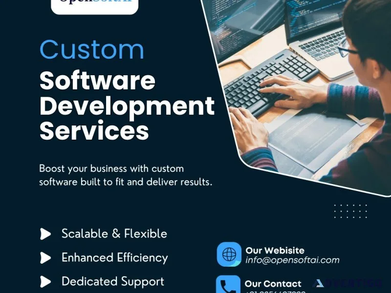 Custom Software development services 