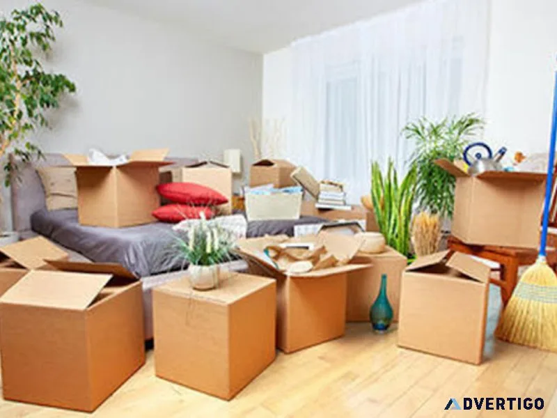 Reliable packers and movers in surat for secure relocation
