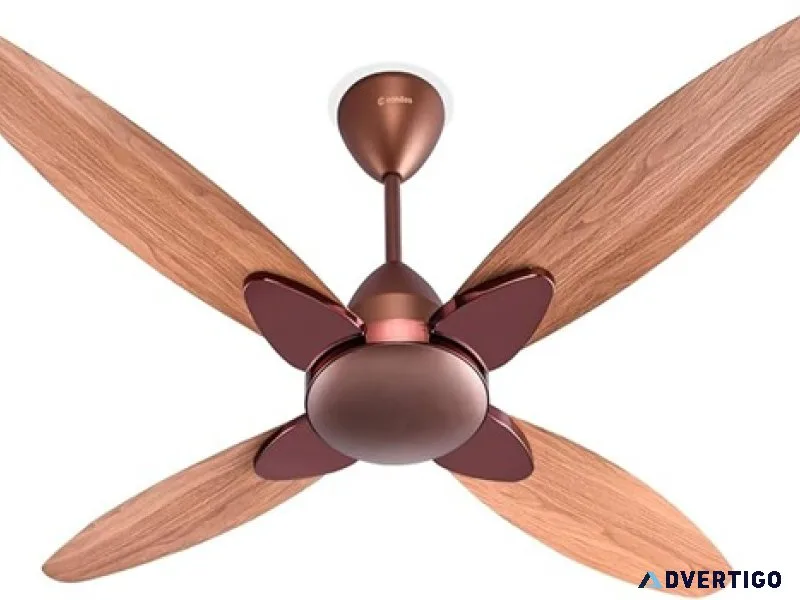 Top premium quality designer fan