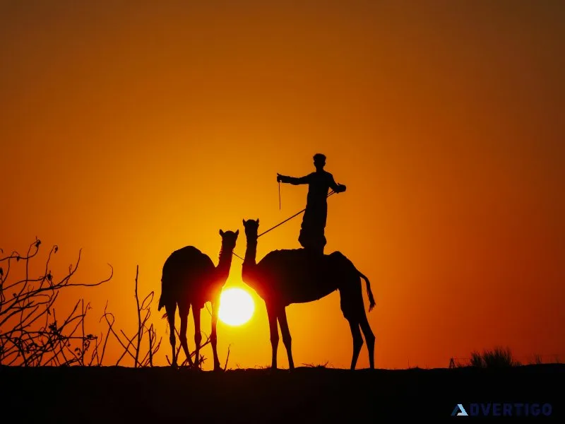 Book your overnight desert safari dubai with exclusive deals