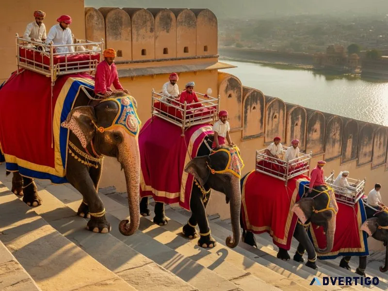 Elephant ride in amer fort everything you need to know before vi