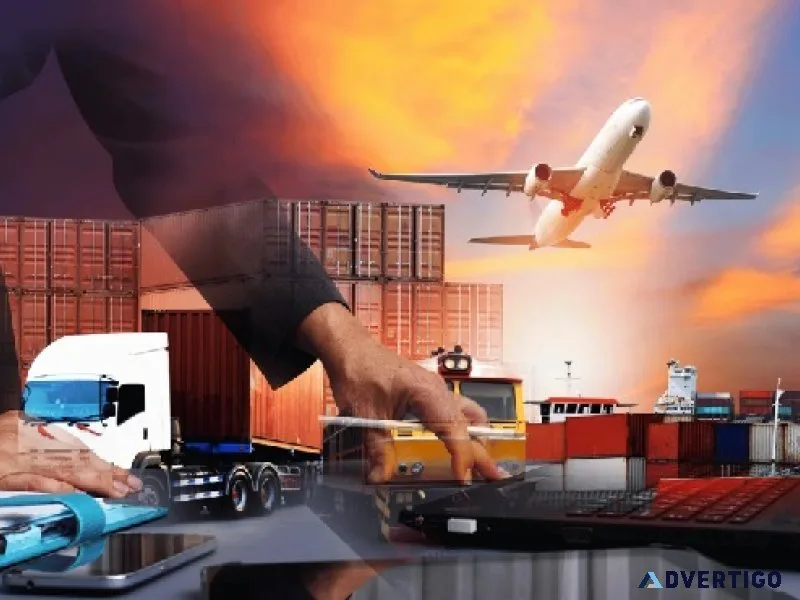 Ddp logistics provider